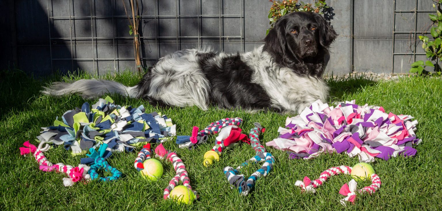 fotoalbum Happy Dog Toys